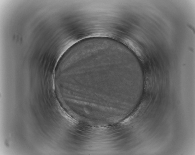 X0000097761276200803211706