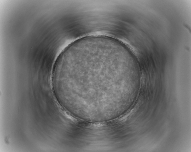 X0000097761278200803211706