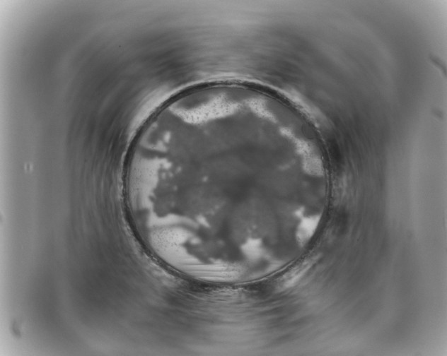 X0000097761279200803211706