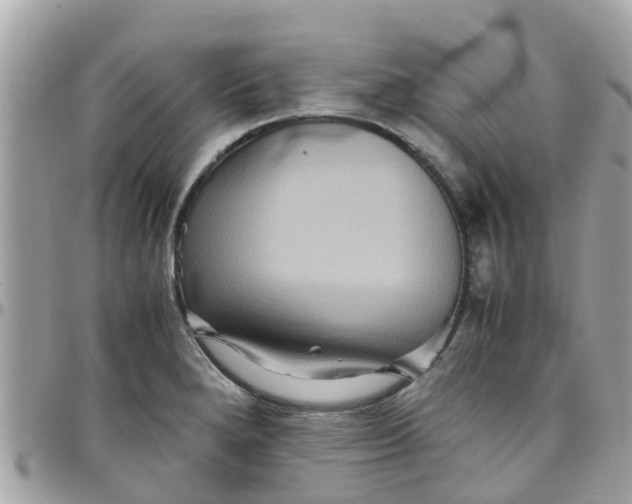 X0000097761280200803211706