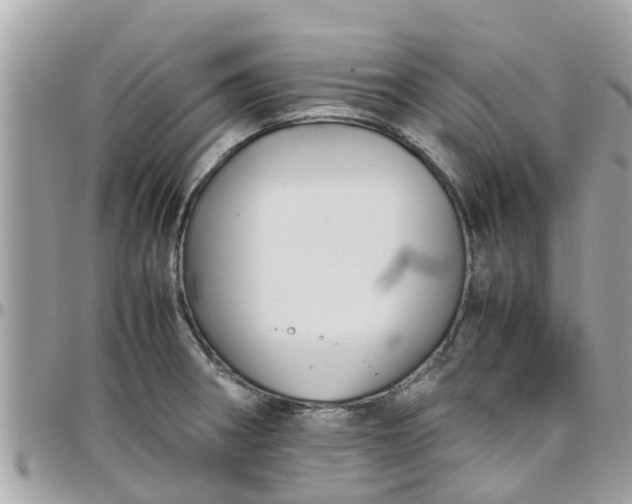 X0000097761282200803211706