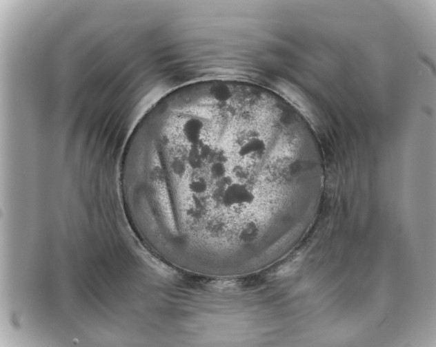 X0000097761283200803211706