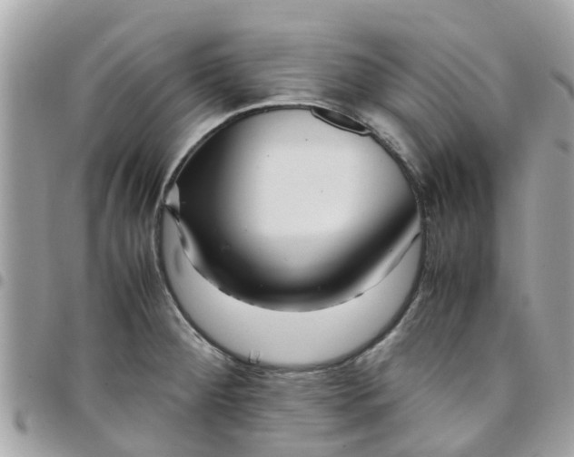 X0000097761284200803211706