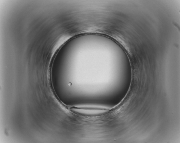 X0000097761285200803211706