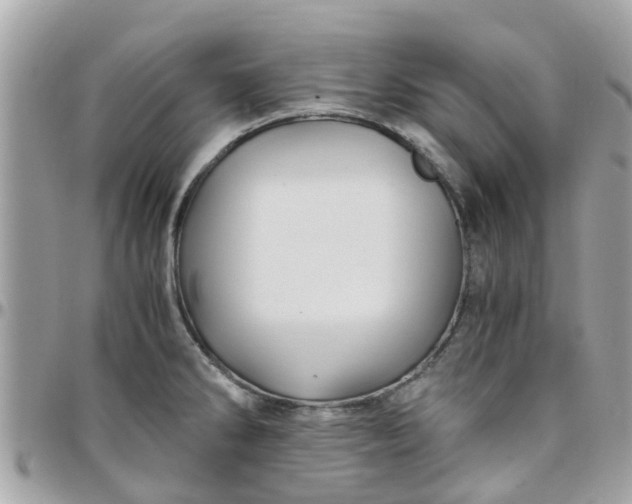 X0000097761286200803211706