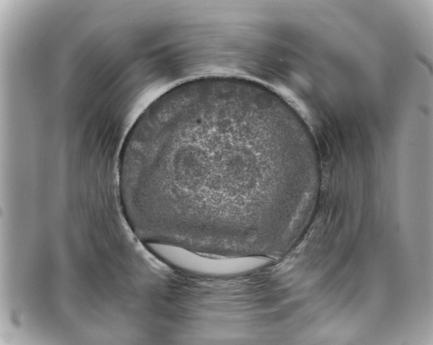 X0000097761287200803211706