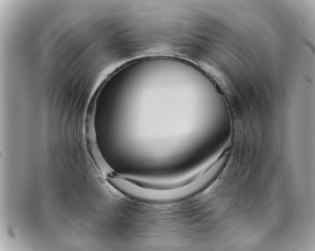 X0000097761288200803211706