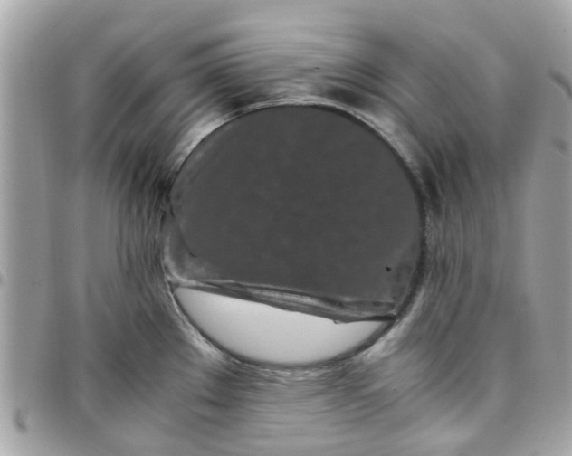 X0000097761289200803211706