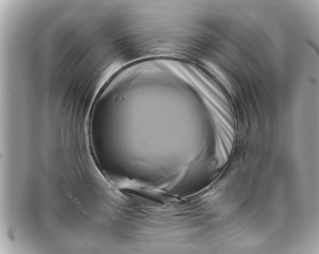 X0000097761291200803211706