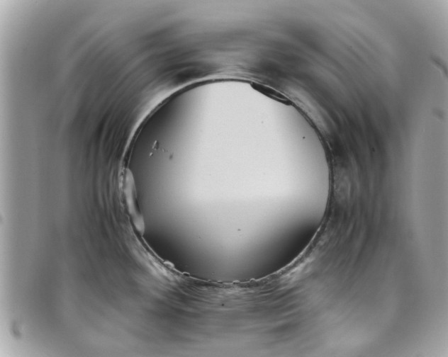 X0000097761292200803211706