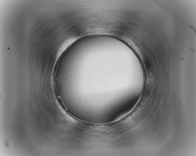 X0000097761293200803211706