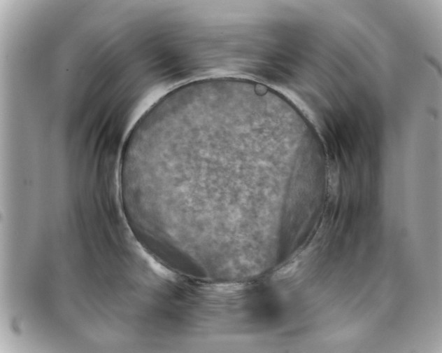 X0000097761294200803211706