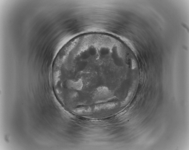 X0000097761295200803211706