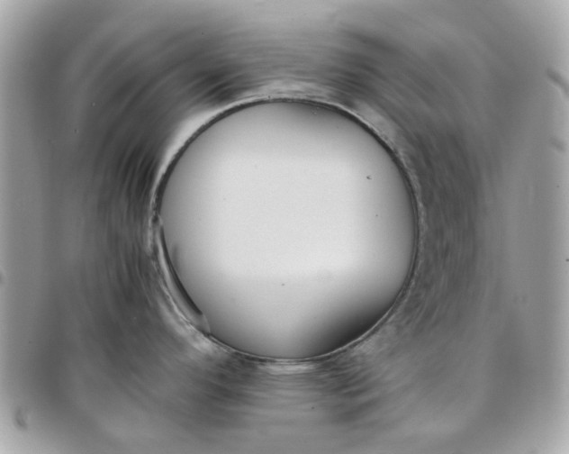 X0000097761296200803211706