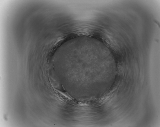 X0000097761297200803211705