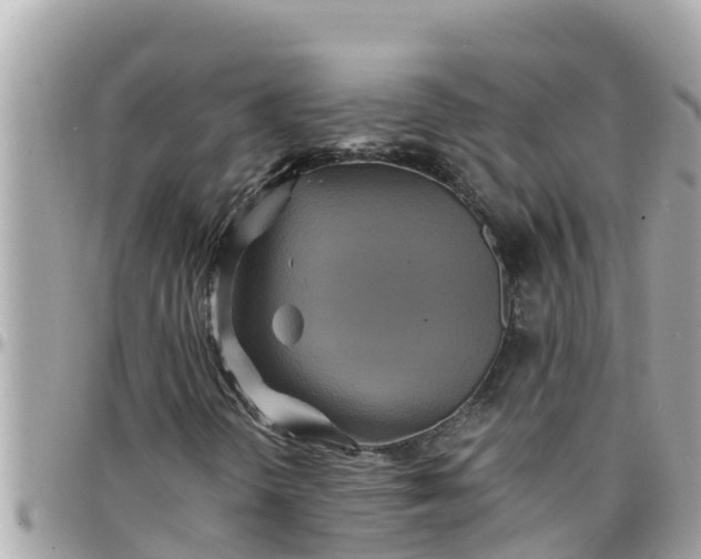 X0000097761298200803211705