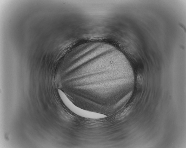 X0000097761300200803211705