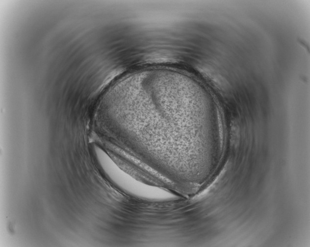 X0000097761305200803211705