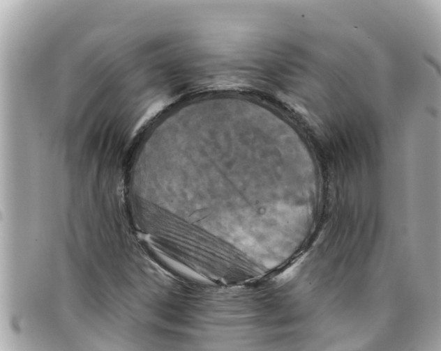 X0000097761306200803211705