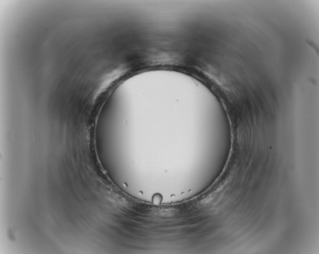 X0000097761309200803211705