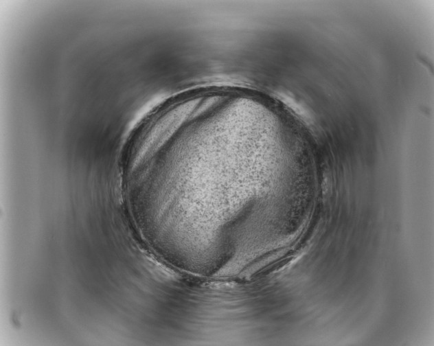 X0000097761310200803211705