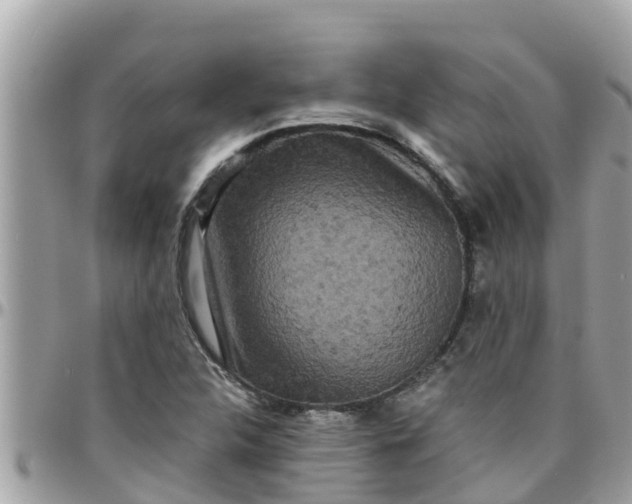 X0000097761312200803211705