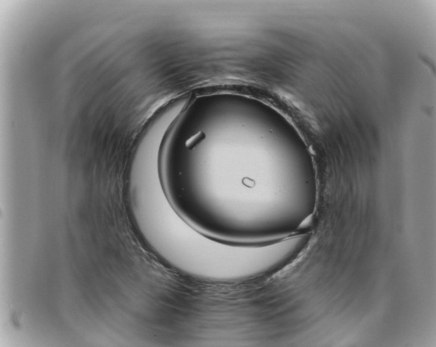 X0000097761313200803211705