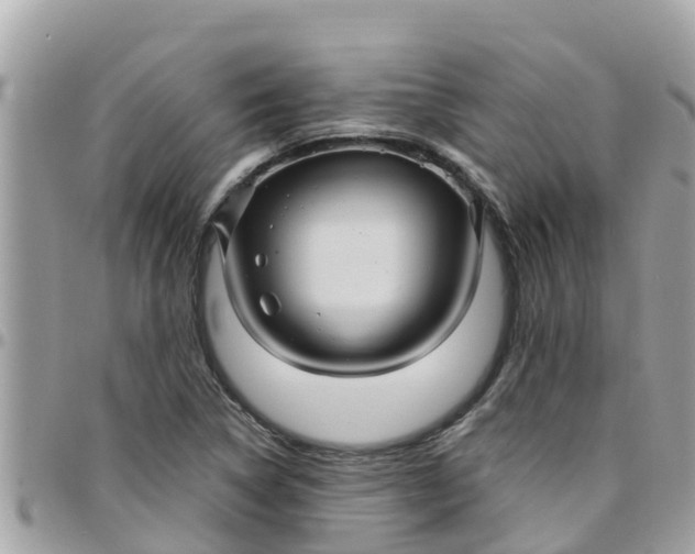 X0000097761314200803211705