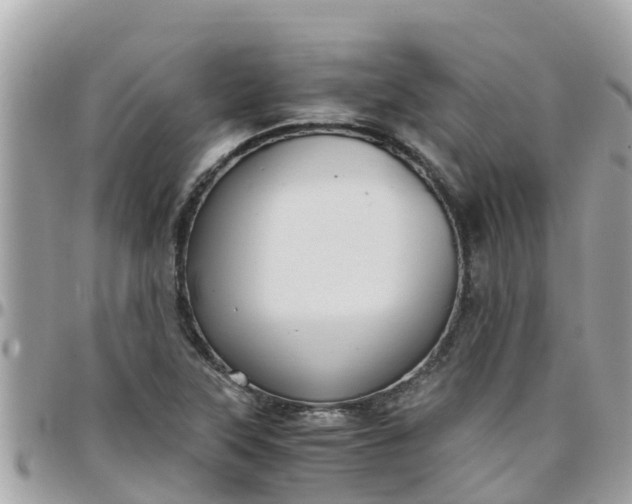 X0000097761315200803211706