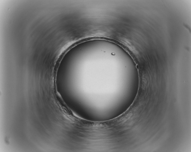 X0000097761316200803211706