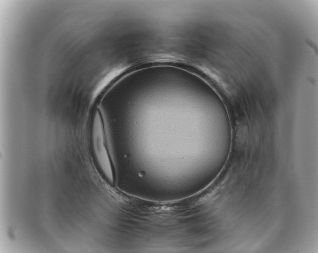 X0000097761317200803211706