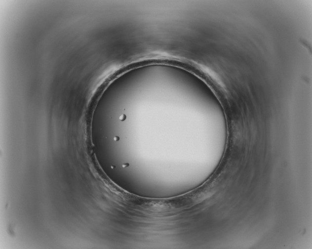 X0000097761318200803211706