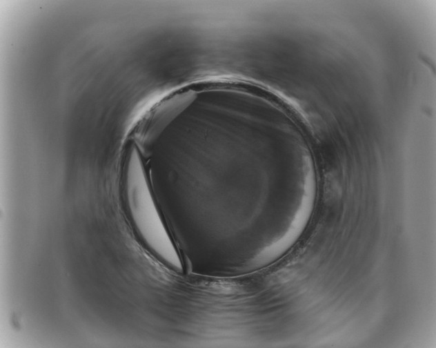 X0000097761319200803211706