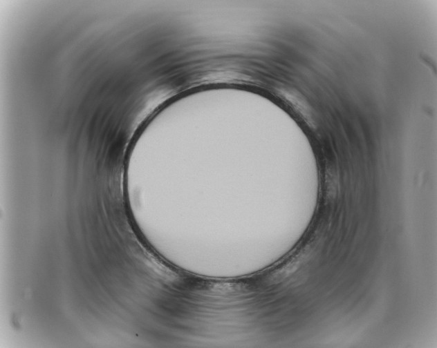 X0000097761322200803211706