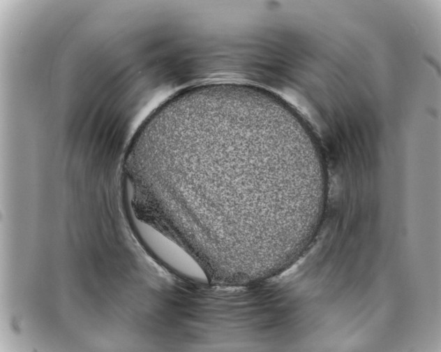 X0000097761325200803211706