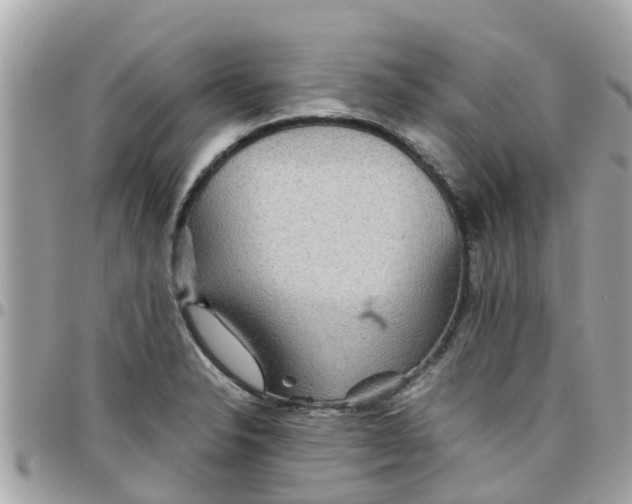 X0000097761326200803211706