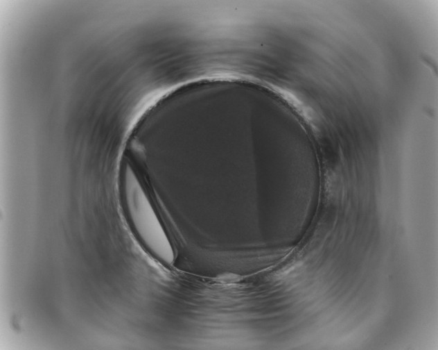 X0000097761327200803211706