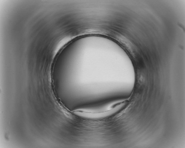 X0000097761328200803211706