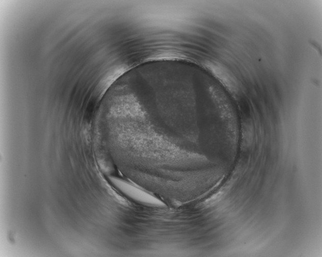 X0000097761329200803211706