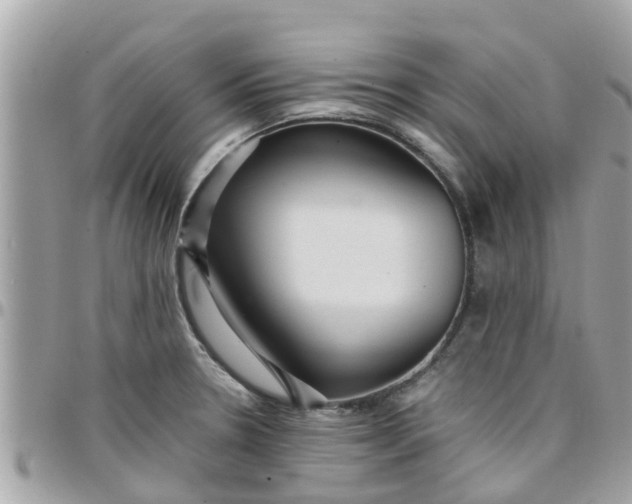 X0000097761330200803211706