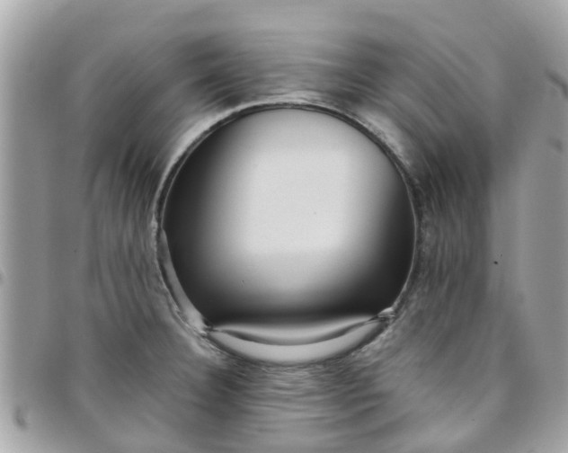 X0000097761332200803211706