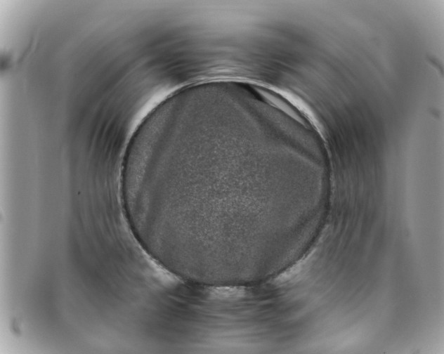 X0000097761333200803211706