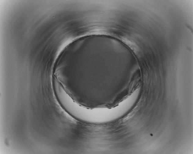 X0000097761334200803211706