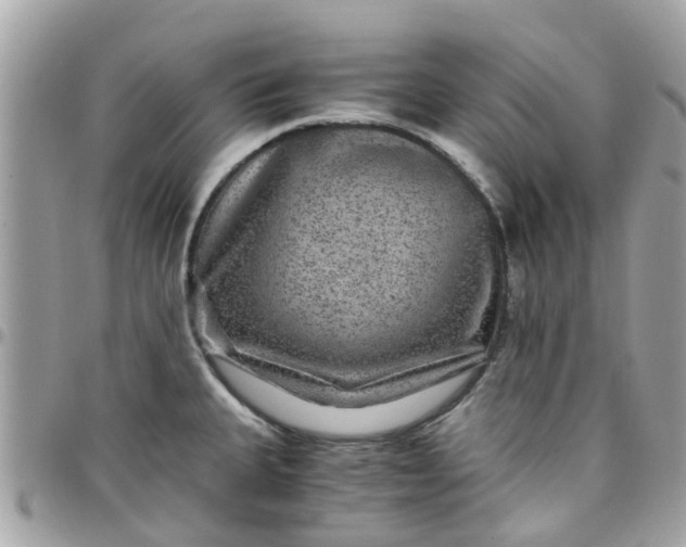 X0000097761335200803211706