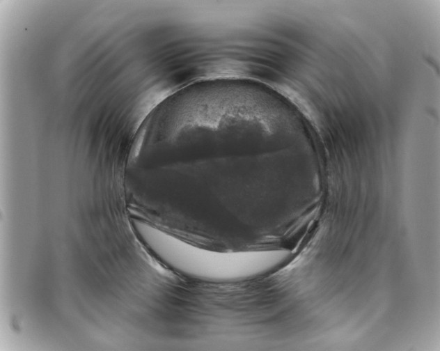 X0000097761337200803211706