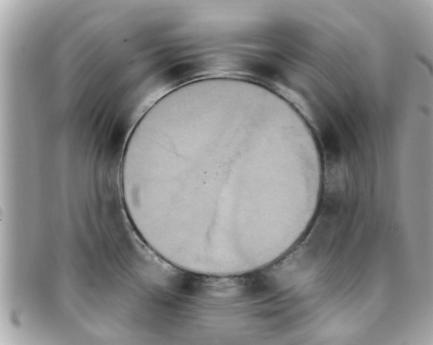 X0000097761338200803211706