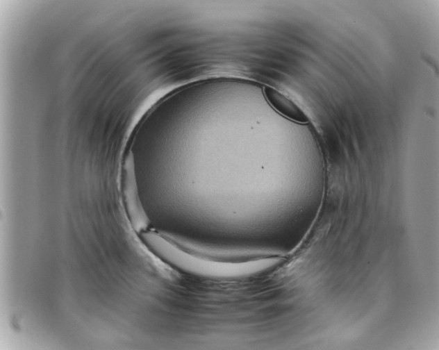 X0000097761339200803211706