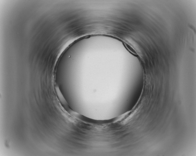 X0000097761340200803211706