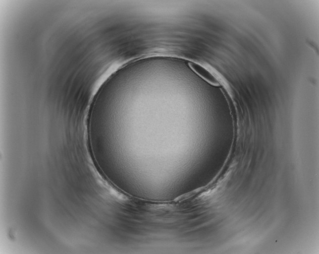 X0000097761341200803211706