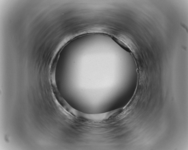 X0000097761342200803211706